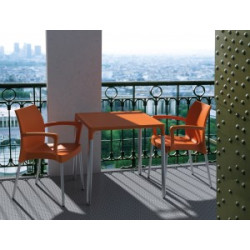 MANGO ALU TABLE